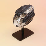 Black Tourmaline Raw Crystal Mineral on a stand against an orange background