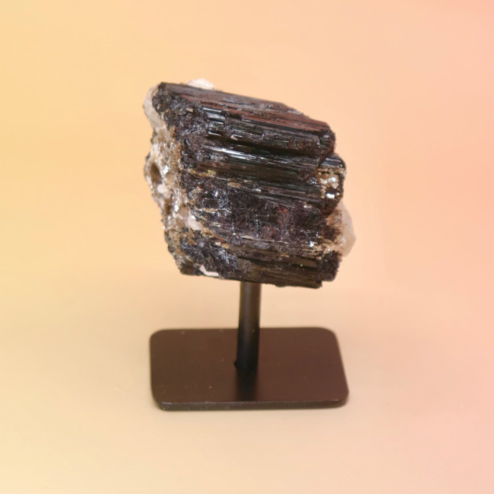 Black Tourmaline Raw Crystal Mineral on a stand against a beige background from the front view