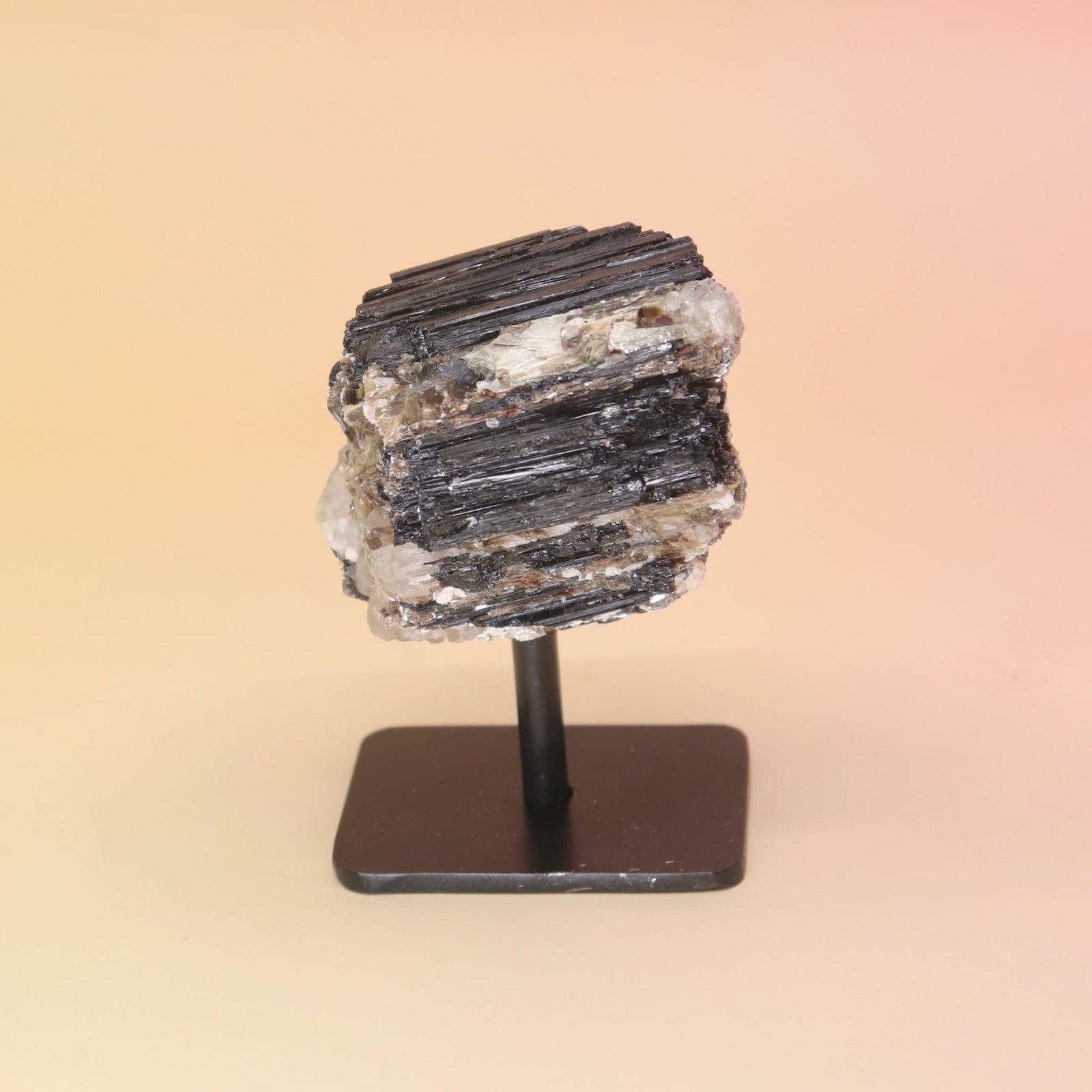 Black Tourmaline Raw Crystal Mineral on a stand against a beige background