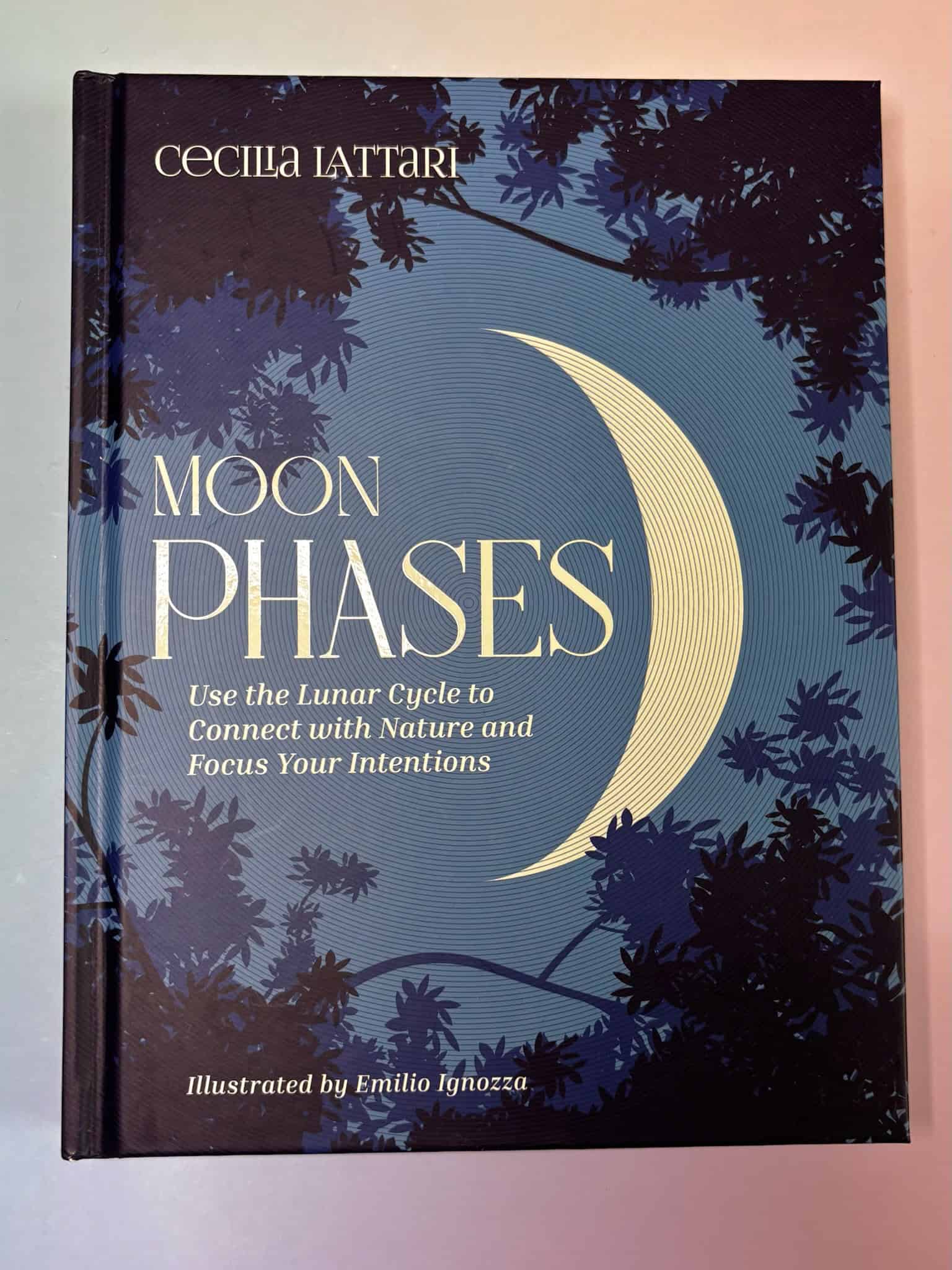 Moon Phases Book
