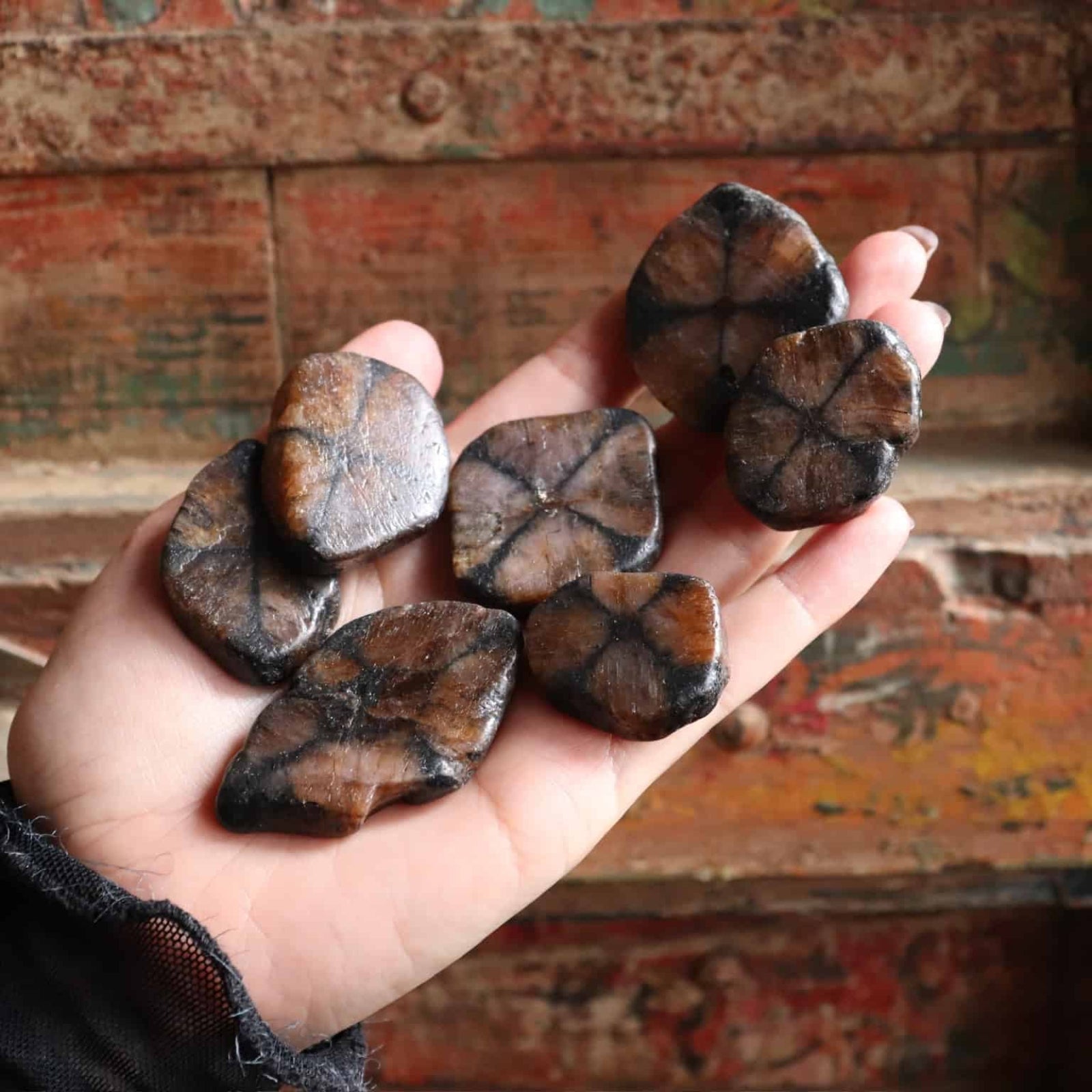 Hand holding several brown Chiastolite Tumble Crystal against a rustic wooden background