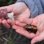 2” Natural Mix Crystal Pigs