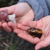 2” Natural Mix Crystal Pigs