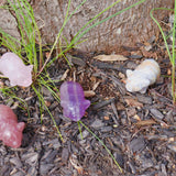 2” Natural Mix Crystal Pigs