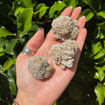 Desert Rose Crystal