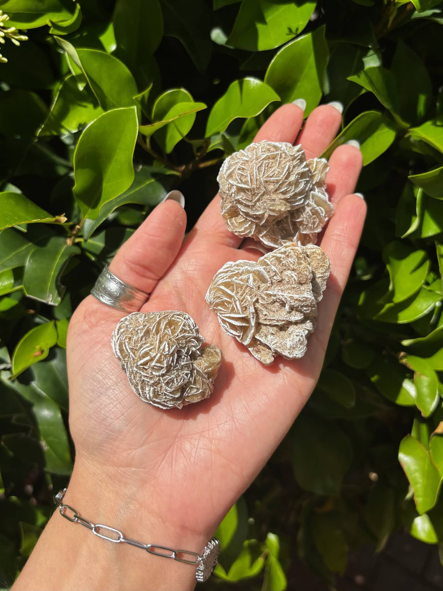 crystal rose seeds Desert Rose Crystal – Grounding Stone for Clarity & Spiritual Growth – The Boho Depot