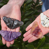 Crystal Butterfly - Healing Energy