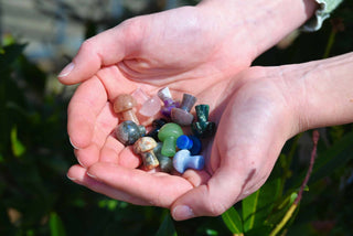Mini Crystal Gemstone Mushrooms over grass in ladies cupped hands