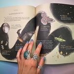 Wheel of the Year Book