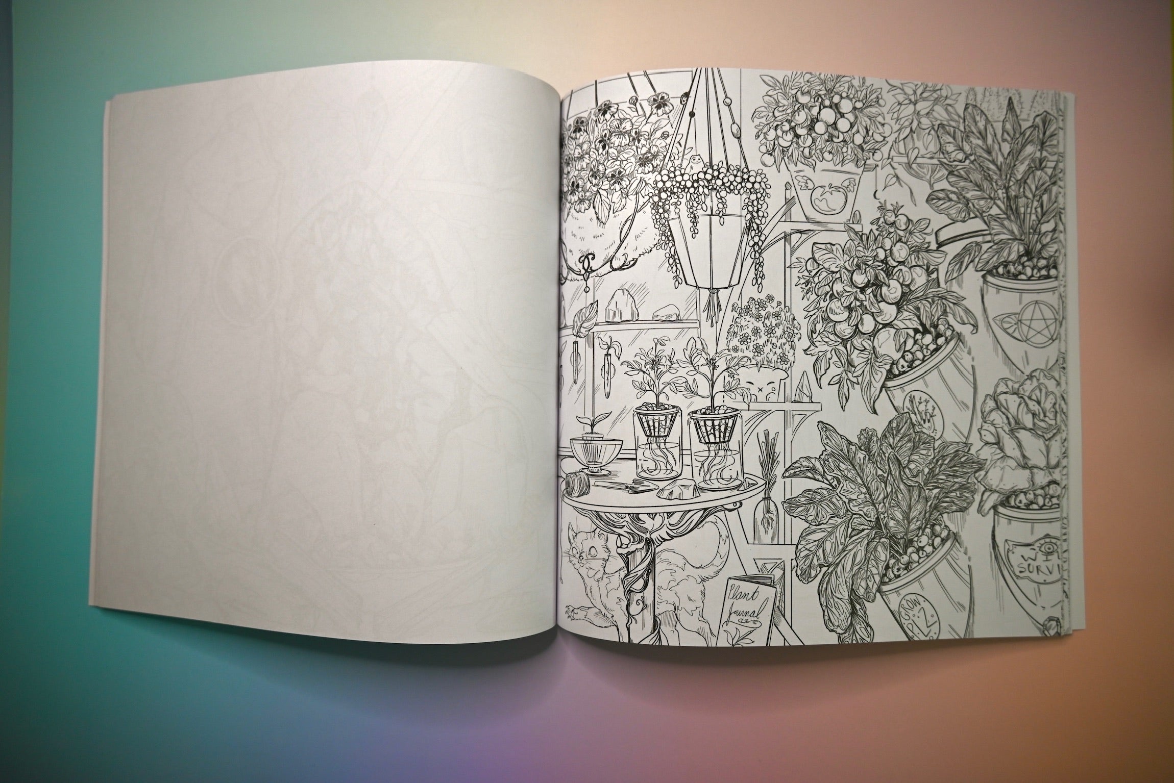 The "Green Witch's Coloring Book" on a pink and blue background, showing off a page.