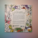 The "Green Witch's Coloring Book" on a pink and blue background, showing off the back cover.