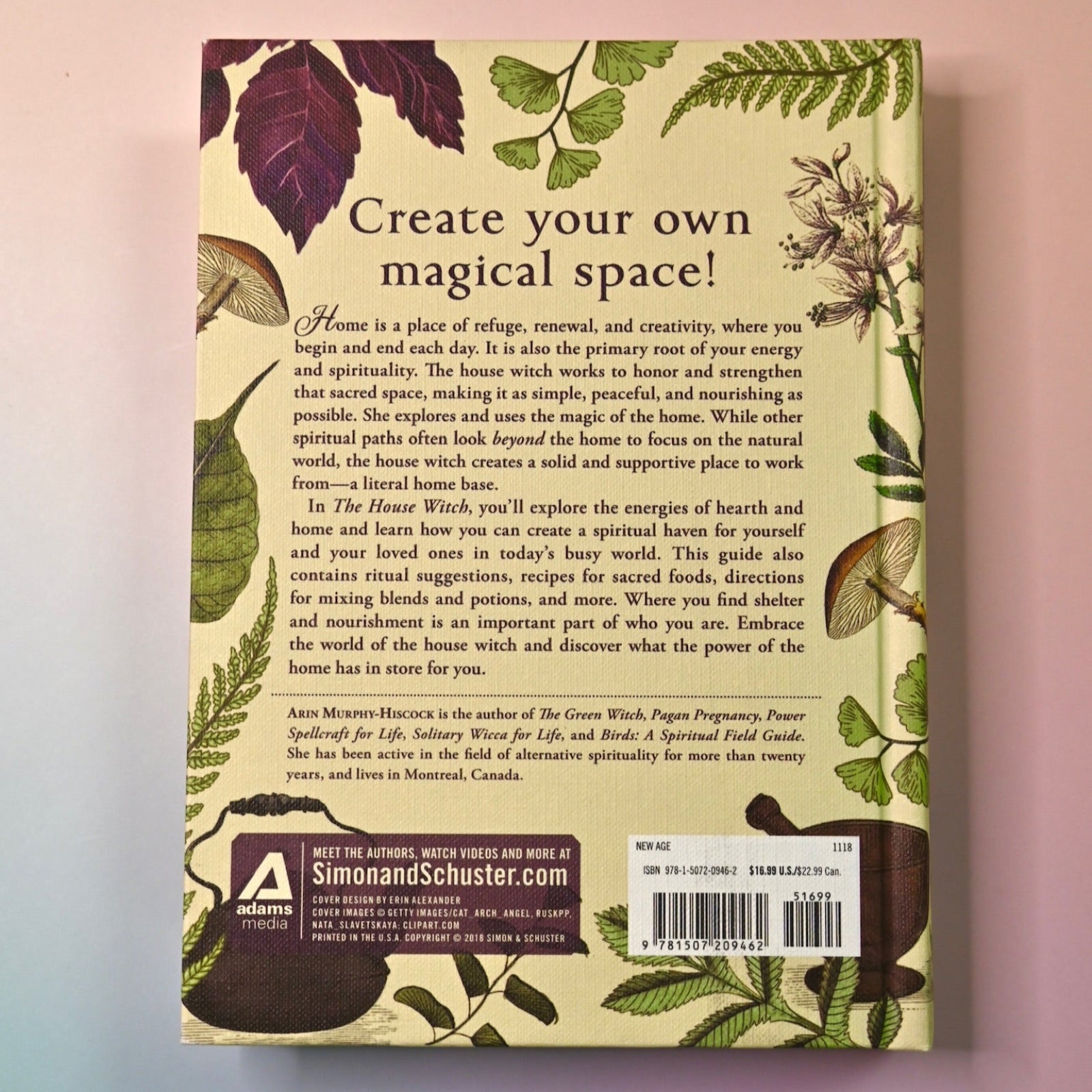 "The House Witch" book on a pink and blue background, showing off the back cover.