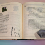 "The Green Witch's Garden" book on a pink and blue background, open and showing some of its pages.
