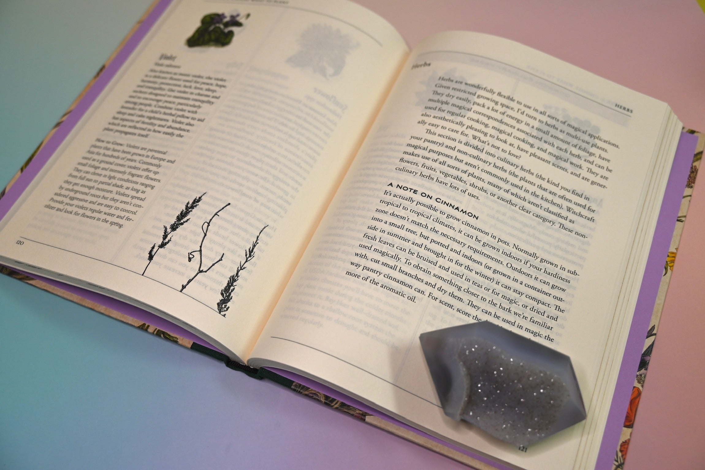 "The Green Witch's Garden" book on a pink and blue background, open and showing some of its pages.