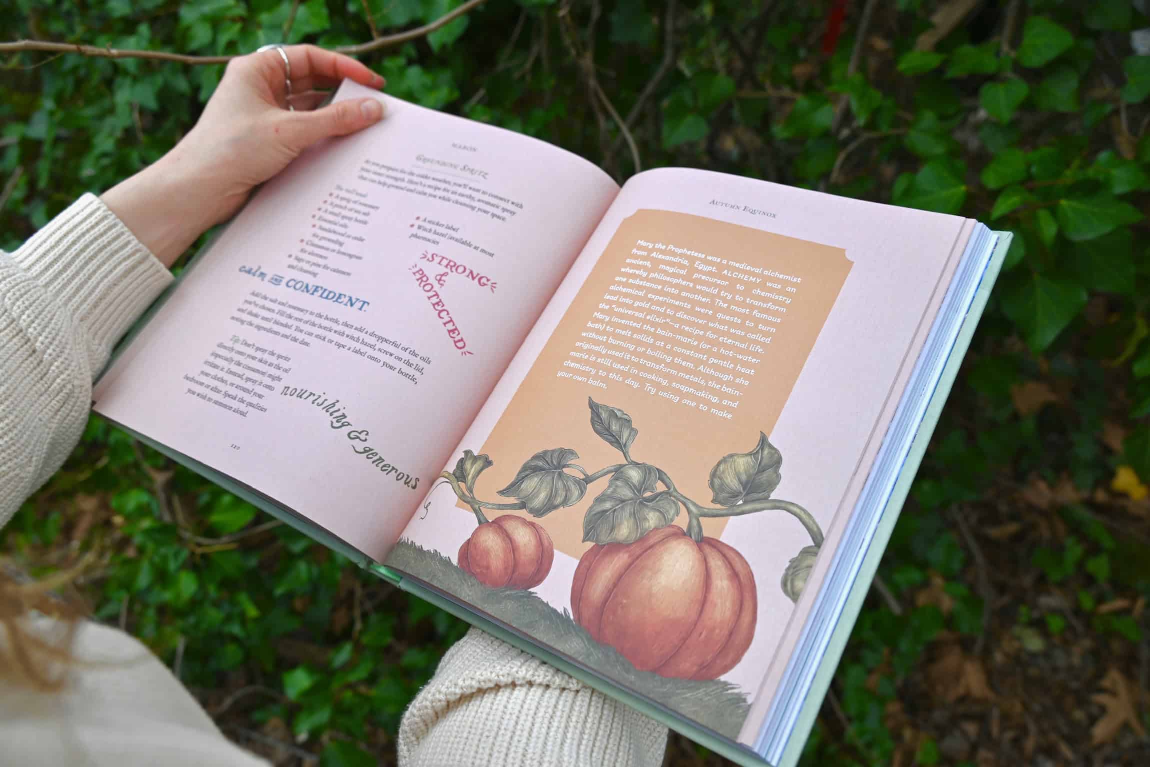 Wheel of the Year Book