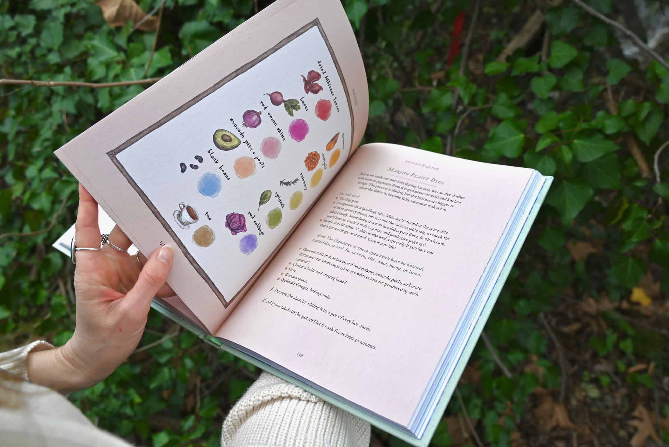 Wheel of the Year Book