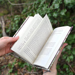 Someone holding the "The House Witch" book, showing off its pages.