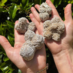 Desert Rose Crystal