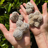 Desert Rose Crystal