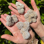 Desert Rose Crystal