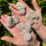 Desert Rose Crystal