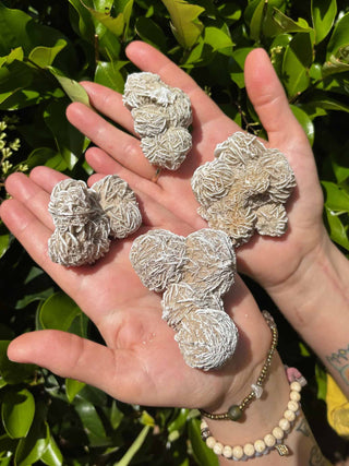 Desert Rose Crystal