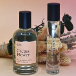 The bottle of the Cactus Flower 15ml Unisex Eau de Parfum Travel Sprayer and regular sized bottle on a pink background in front of a dried flower bundle.