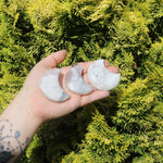 Hand holding three flower agate moons in front of a green bush