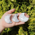 Hand holding three flower agate crystal crescent moons against a green bush background
