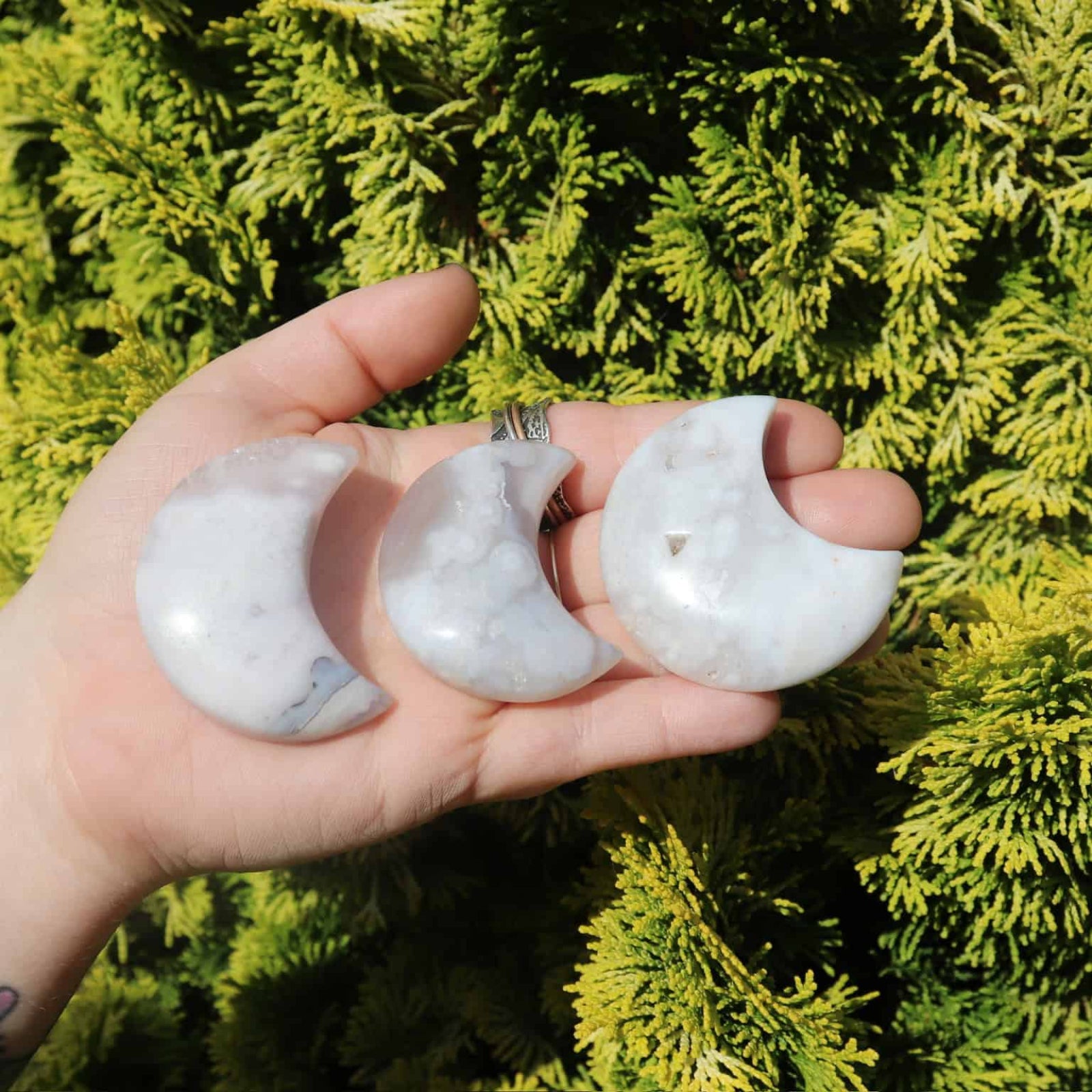 Hand holding three flower agate crystal crescent moons against a green bush background
