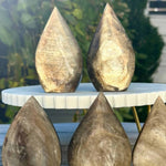 Muscovite Golden Mica Freeform