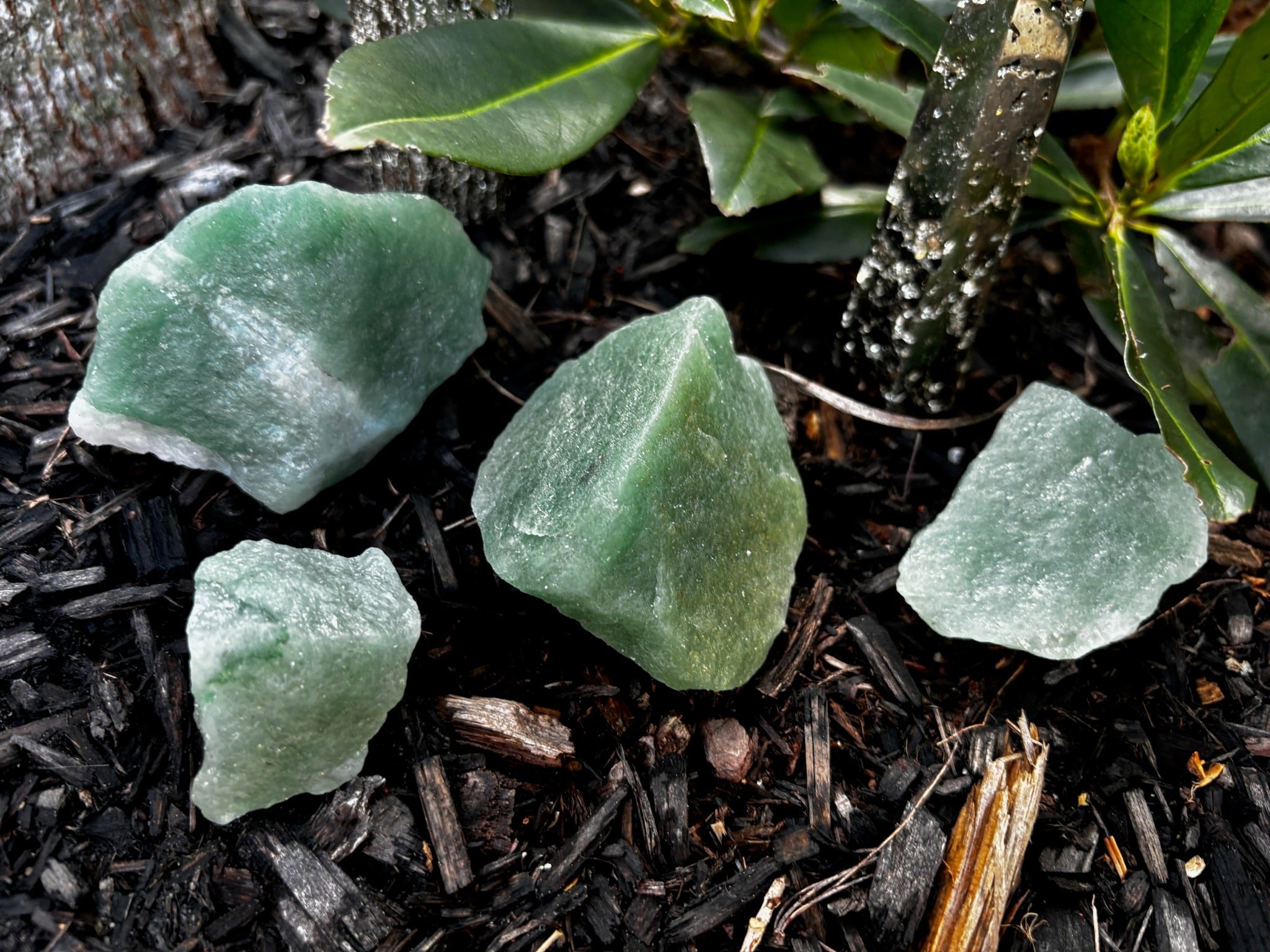 green aventurine rocks on a dirt bed