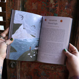 Someone holding the 2026 Seasons of the Witch Planner Calendar, showing off the pages.