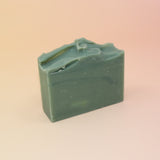 The Wicked Witch Wicked Themed 4 oz Bar Natural Soap on a pink and yellow background.