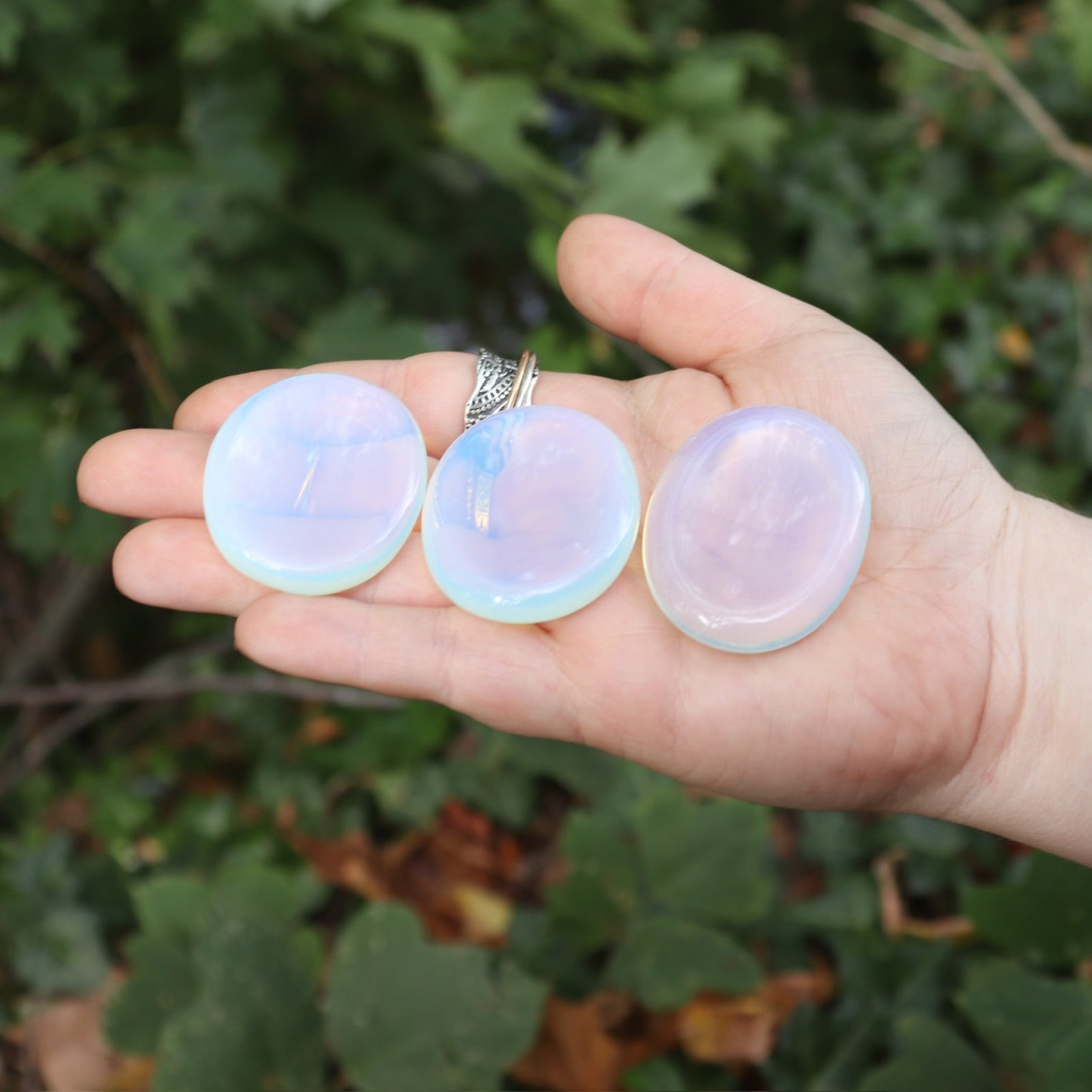 Someone holding three Opalite Worry Stones in front of some greenery.