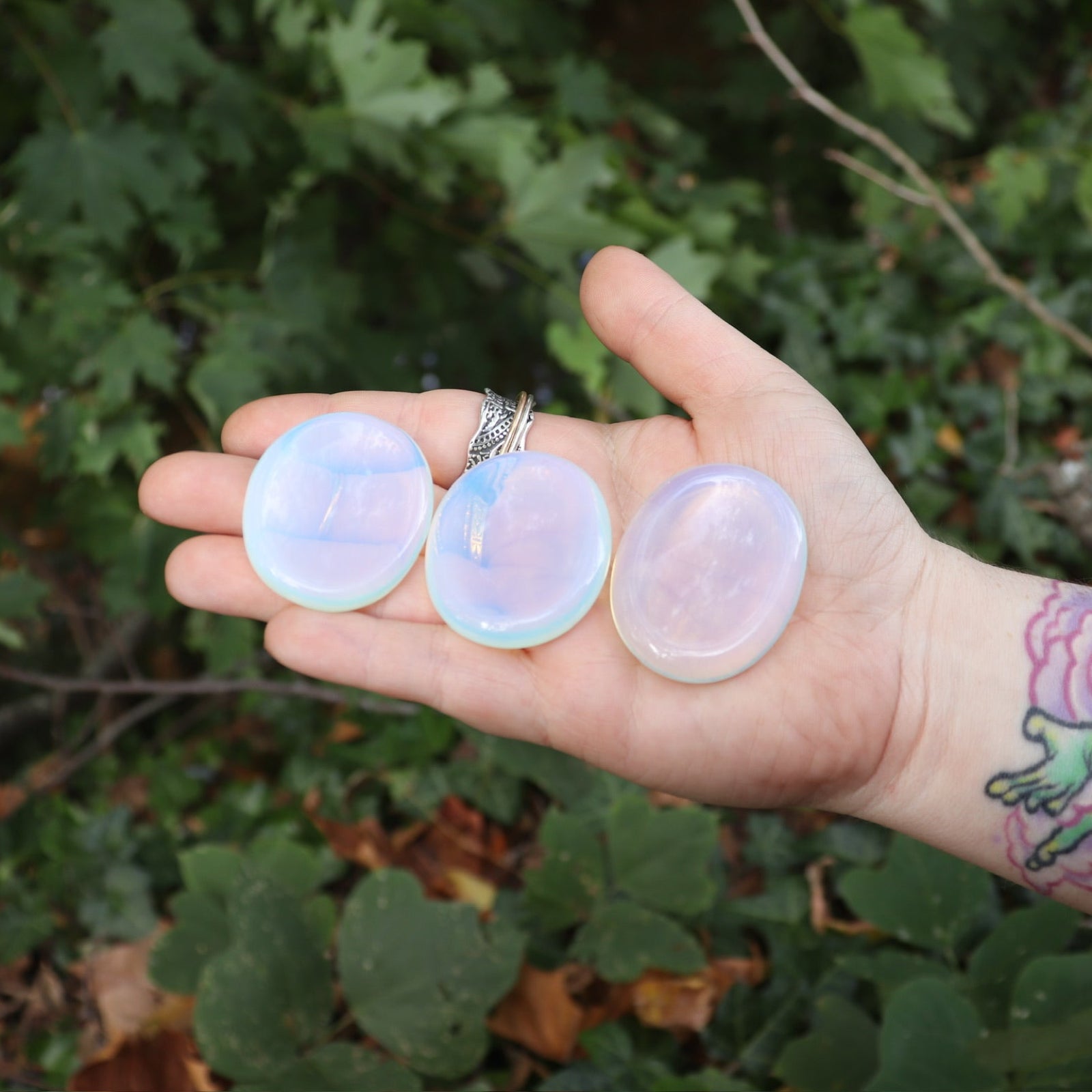 Someone holding three Opalite Worry Stones in front of some greenery.