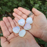 Someone holding multiple Opalite Crystal Hearts in front of a green outside background.