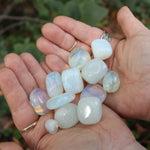 Someone holding multiple opalite crystal tumbles in front of a green blurry background.