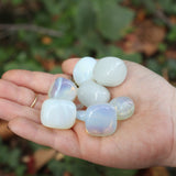 Someone holding multiple opalite crystal tumbles in one hand in front of a green blurry background.