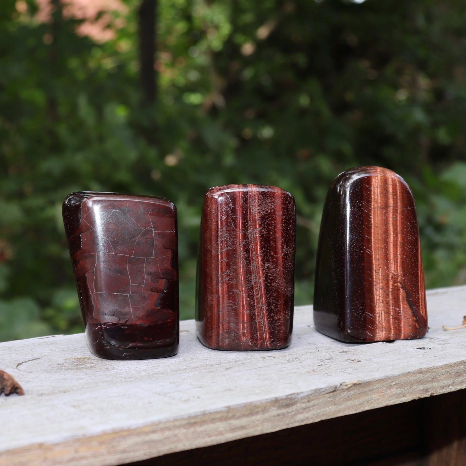 Three of the Red Tiger's Eye Freeform pieces on a wooden slab in front of a green nature background.