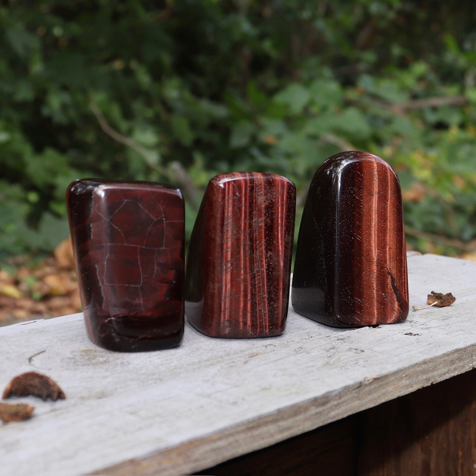 Three of the Red Tiger's Eye Freeform pieces on a wooden slab in front of a green nature background.