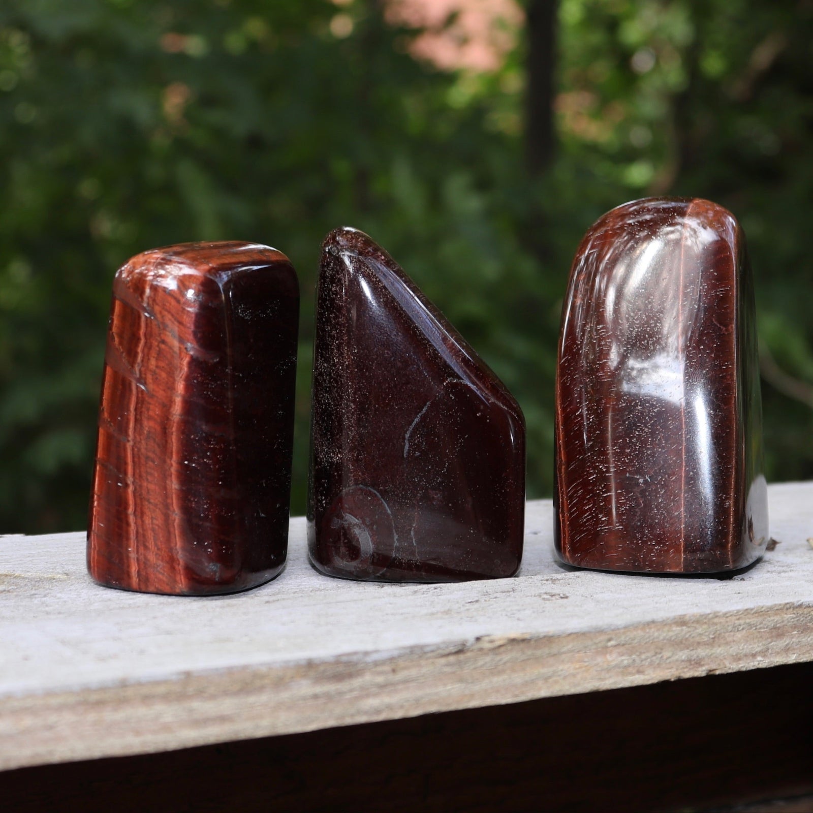 Three of the Red Tiger's Eye Freeform pieces on a wooden slab in front of a green nature background.