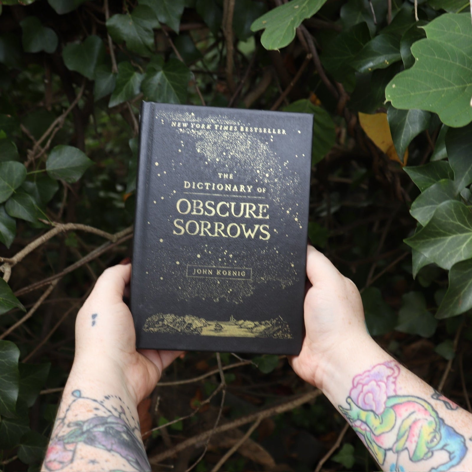 Someone holding the Dictionary of Obscure Sorrows Hardcover Book in front of a green bush.
