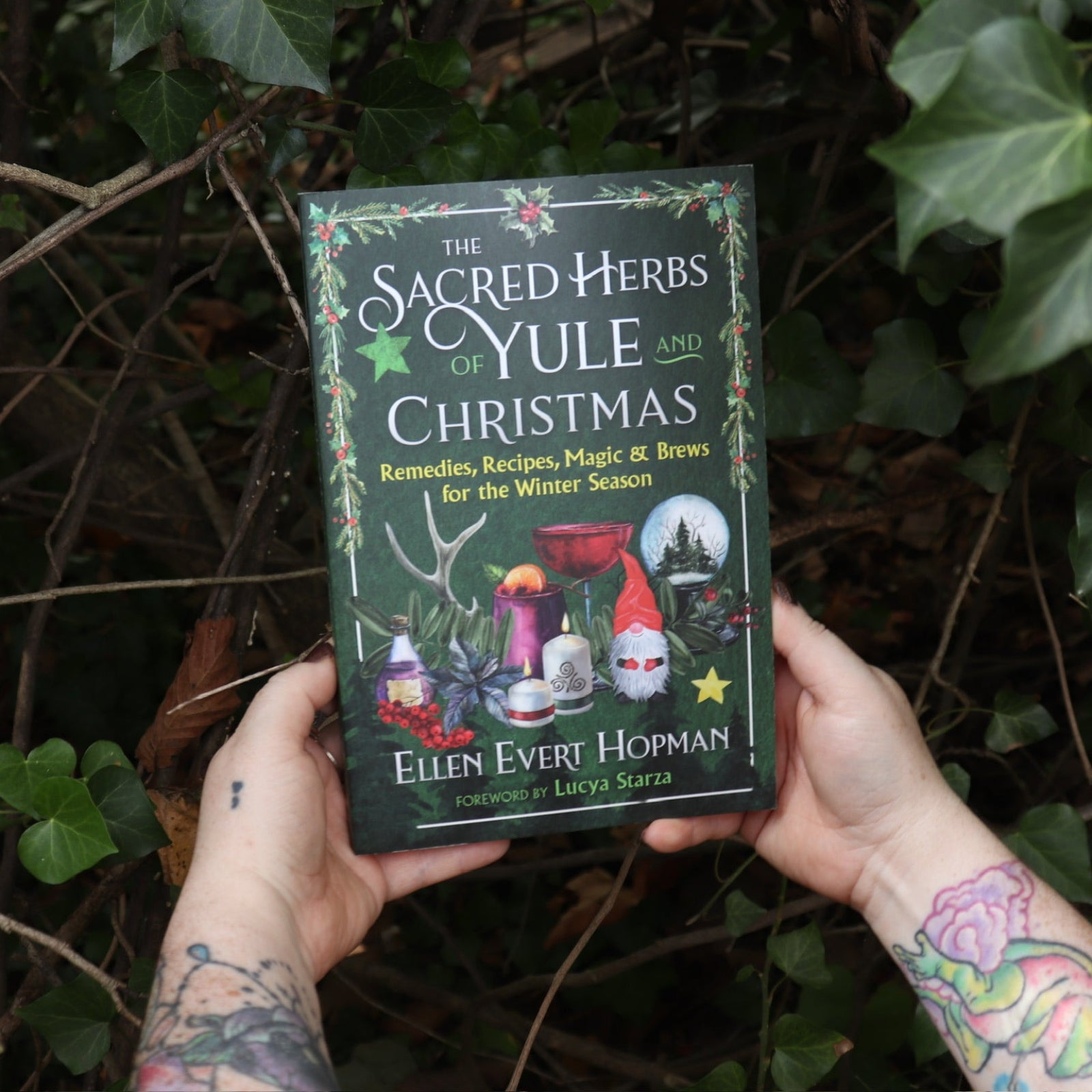 Someone holding the Sacred Herbs of Yule and Christmas in front of a green bush.
