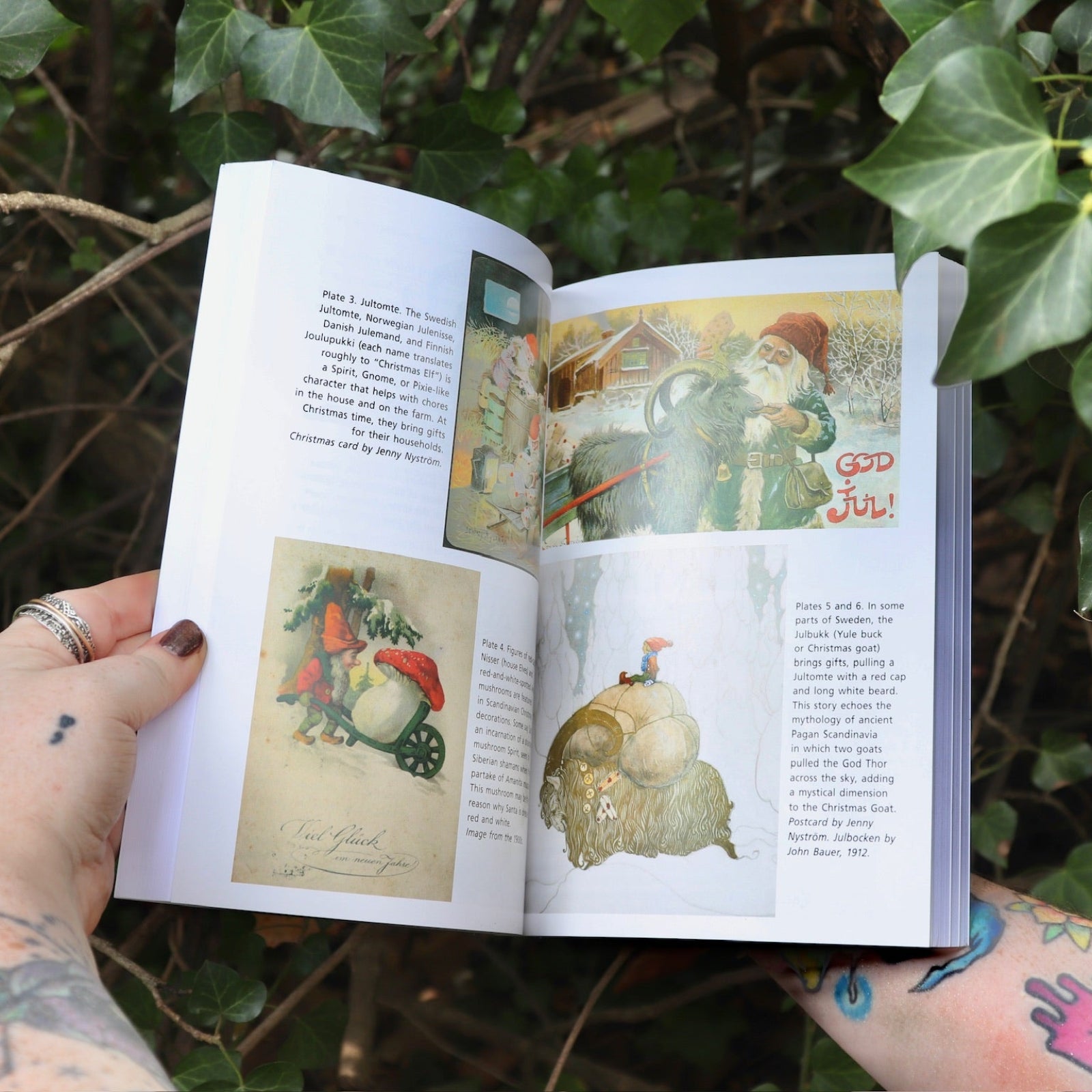 Someone holding the Sacred Herbs of Yule and Christmas open in front of a green bush, showing off the pages.