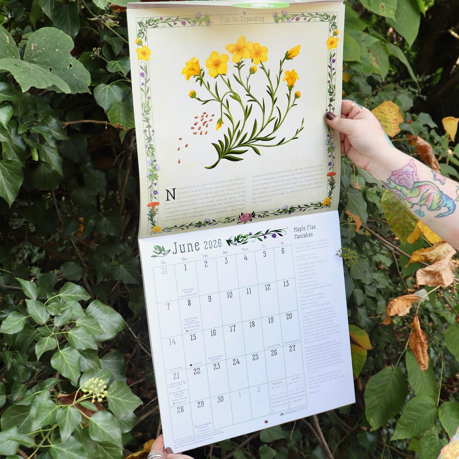 Someone holding the Kitchen Witch 2026 Wall Calendar open in front of a green bush.