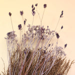 The Moon Besom Broom with Clear Quartz on a pink and yellow background.