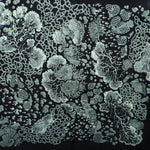 An up-close image of the Black Slime Mold Cotton Bandana.