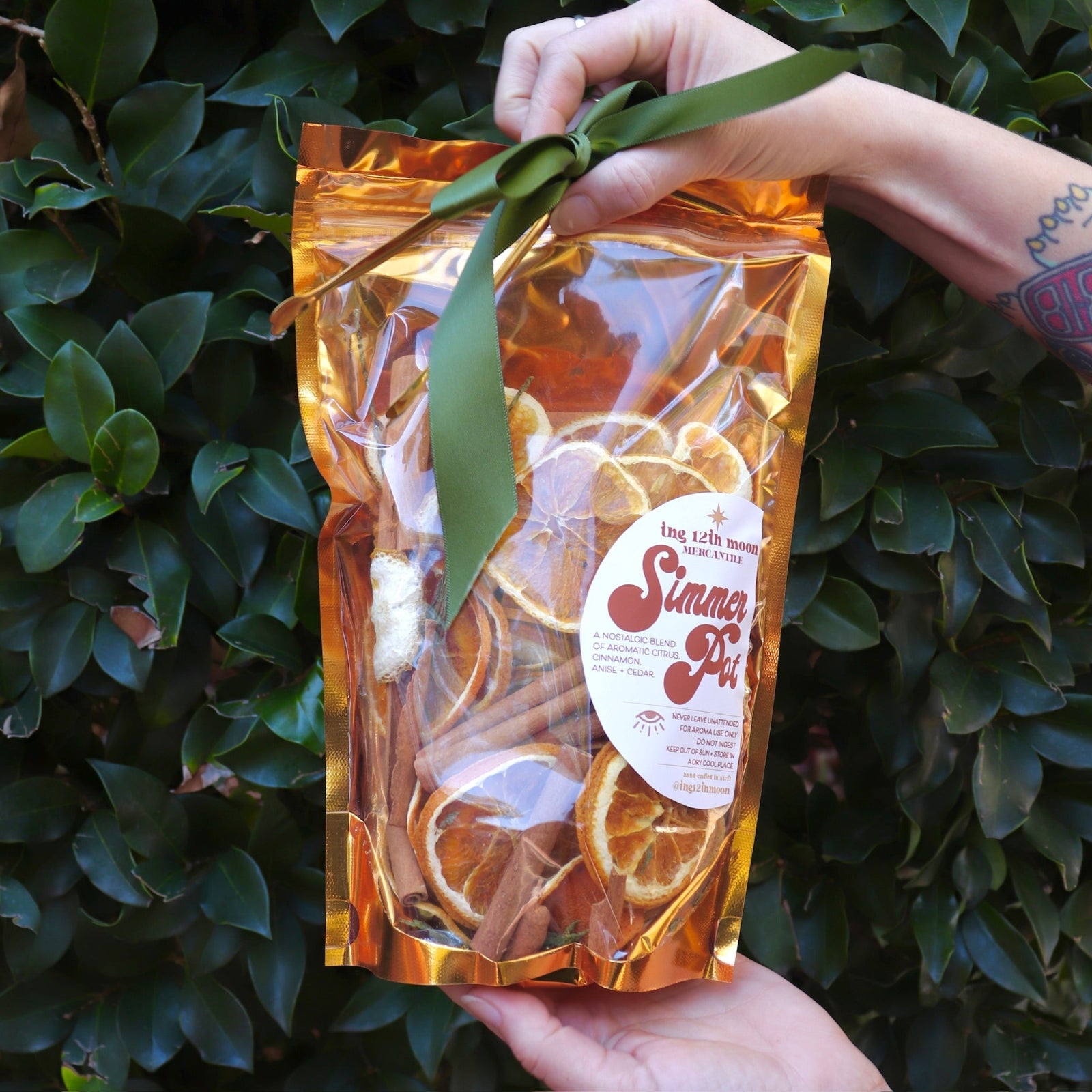 Someone holding the  Winter Spiced Citrus Simmer Pot in front of a green bush.