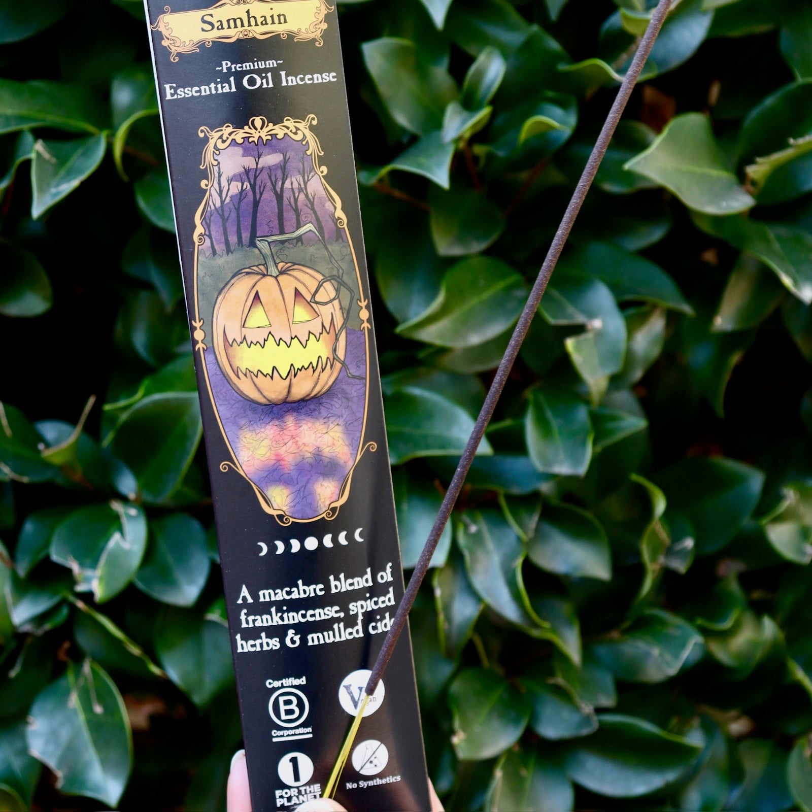 Someone holding the Samhain Premium Incense in front of greenery.